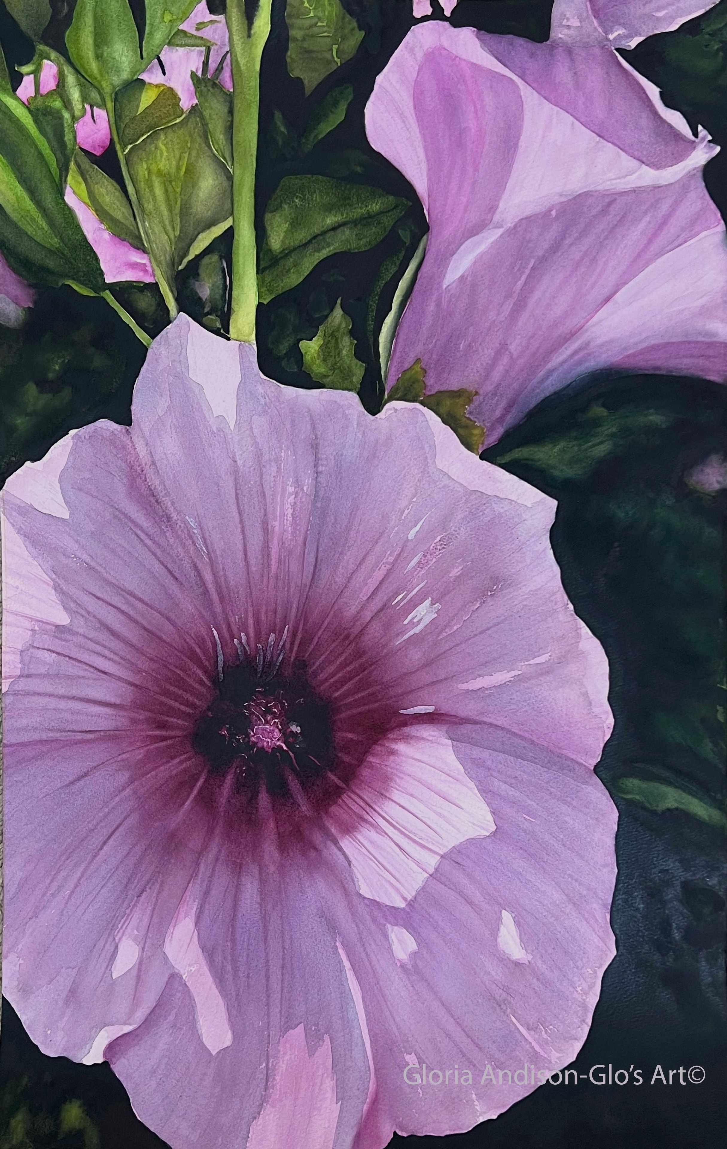 Lavatera — original watercolour painting by Canadian artist Gloria Andison
