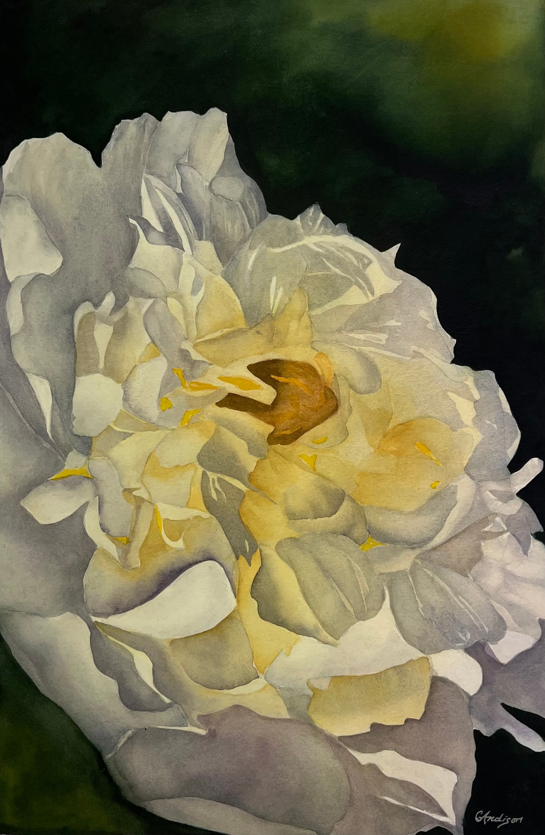 White Peony — original watercolour painting by Canadian artist Gloria Andison